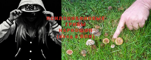 мдма Магас