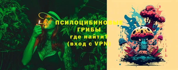 твердый Майский